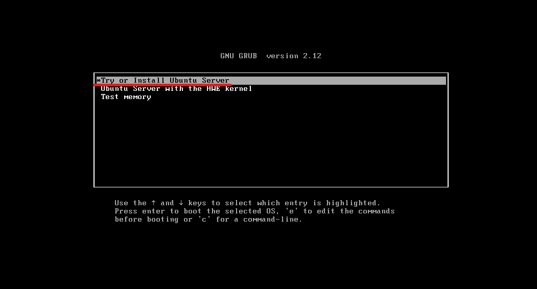После успешной загрузки с флэш-карты появится окно мастера установки, в котором выберите *Try or Install Ubuntu Server
